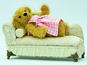 Minute Prints: Miniature teddy bear (Mini Bear Collection)
