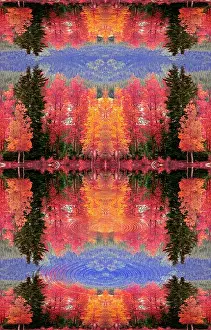 Hues Prints: Mirror of Autumn Surreal photo-digital illustration