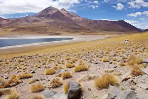 Chile Prints: Miscanti Lagoon are a brackish water lakes located 4000 metres above the sea level in the Antofagasta Region
