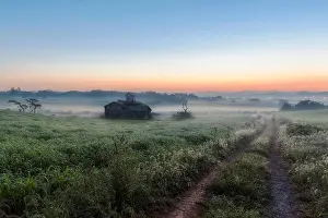 South Korea Prints: Mist over an abandoned building, Anseong, South Korea