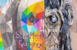 Murals Prints: 'Mixed Chimp' is a collaborative mural by Spanish artist Okuda (a)