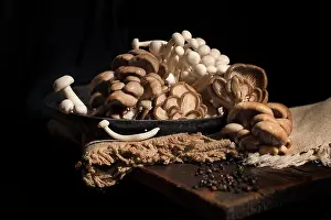 Oyster Prints: mixed raw oriental mushrooms including oyster, and shimeji on a frying pan at home