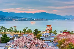 Cherry Trees Prints: Miyajima Island, Hiroshima, Japan with temples on the Seto Inland Sea at dusk in the spring season