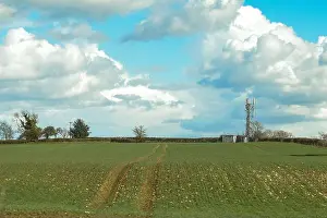 Mast Prints: mobile phone mast to transmit to networks in a rural field