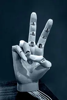 Automated Prints: Model of human hand with fingers printed on 3D printer