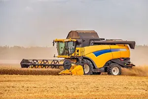 Wheat Field Prints: Modern Combine Harvester in a Wheat Field. Agricultural Seasonal Work