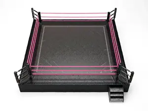 Amphitheater Prints: A modern oversized wrestling ring with pink ropes