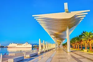 Puerto Prints: The modern Palm Grove of Surprises promenade