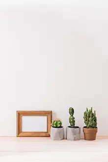 Art White Prints: Modern room decoration. Various cactus and succulent plants in different pots