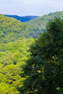 State Park Prints: Mohican State Park, Ohio