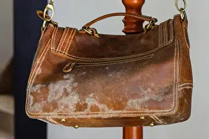 Unclean Prints: mold on old brown leather bag, fungus on leather bag