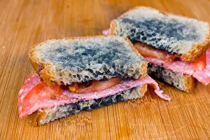 Poverty Prints: moldy sandwich with salami, tomatoes on a chopping board