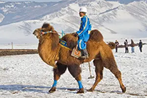 Camel Prints: Mongolian camelCa polo player