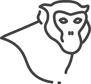 Gorilla Prints: Monkey head linear portrait. Jungle animal icon