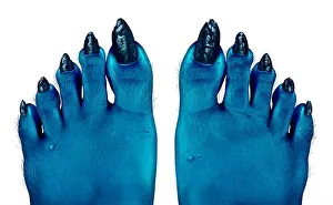 Ugly Prints: Monster blue feet as a creepy halloween or scary zombie symbol with textured skin and toes with hair