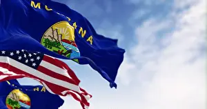American Flag Prints: Montana state flags waving in the wind with the American flag on a clear day