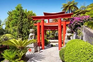 Flowers Collection: Monte Palace Tropical Garden (Japanese garden) - Monte, Madeira Island, Portugal