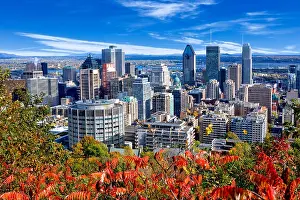 Montreal Prints: Montreal skyline view from Mount Royal