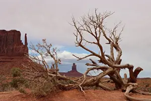 Vastness Prints: Monument Valley