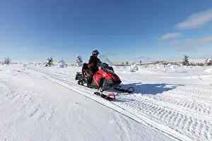 Finland Prints: Moottorikelkkailua Lapissa hangella talvella. Nainen ajaa