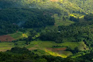 Rice Field Prints: Morning birds eye view of rural village of Sri Lanka