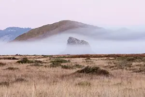 Morning mist flows over the rugged landscape of northern California in Sonoma. This scenic region is often covered by a thick marine layer of mist