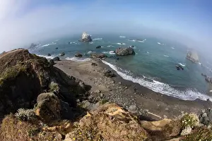 Temperate Prints: Morning mist sweeps along the scenic coast of northern California in Sonoma