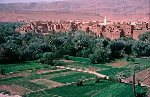 Maroc Prints: Morocco Village and cultivation near Ouarzazate