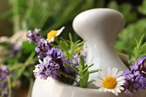 Smell Prints: Mortar with fresh lavender, chamomile flowers