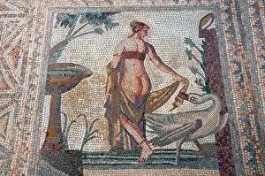 Resorts Prints: Mosaic of Leda and the Swan in villa