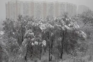 Snowfall Prints: Moscow, Russia - February, 4, 2018: View of park on the outskirts of Moscow during abnormal snowfall in Moscow