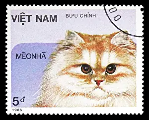 Domestic Cat Prints: MOSCOW, RUSSIA - SEPTEMBER 26, 2018: A stamp printed in Vietnam shows