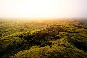 Moss field in Iceland