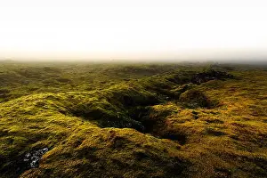 Moss field in Iceland