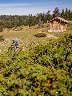 Intense Prints: Mountain bikers on tour through the Hauts-Plateaux du Vercors nature reserve