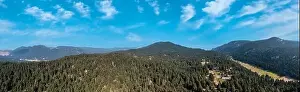 Boeotia Prints: Mountain fir forest landscape panorama aerial drone view, blue sky