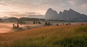 Mountain meadows of the Dolomites in the morning fog and mist with ethereal atmosphere