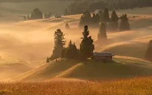 Seiser Prints: Mountain meadows of the Dolomites in the morning fog and mist with ethereal atmosphere