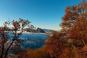 Lugano Prints: Mountain Peak San Salvatore Above Cloudscape with a Autumn Tree and Sunlight with Clear Sky in Lugano