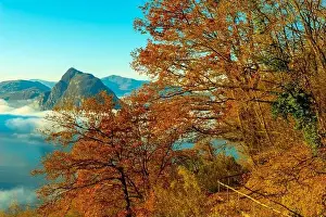 Lugano Prints: Mountain Peak San Salvatore Above Cloudscape with a Autumn Tree and Sunlight with Clear Sky in Lugano