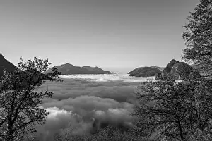 Lugano Prints: Mountain Peak San Salvatore Above Cloudscape with a Autumn Tree and Sunlight with Clear Sky in Lugano