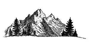 Vector Illustration Prints: Mountain with pine trees and landscape black on white background