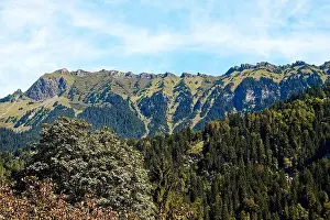 mountain scenic, green, trees, steep slope