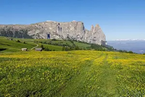 Northern Italy Prints: Mountain Sciliar (Schlern), Alpe di siusi (Seiser Alm)