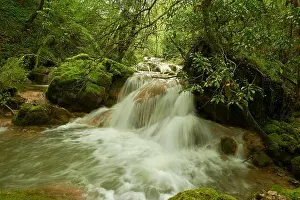 Mountain Stream Prints: mountain stream on Monti Lucretili