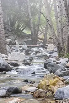 Hiking Trails Prints: Mountain stream with small waterfalls in light fog