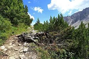 Luminous Prints: mountaineering at hahntennjoch in austria. mountain path in the mountains