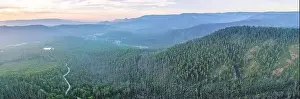 Forested Hill Prints: Mountains and eucalyptus forest at dusk - aerial panoramic landscape