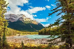 Surround Prints: Mountains surround the River