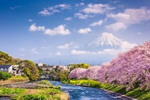 Images Dated 15th April 2017: Mt. Fuji, Japan spring landscape